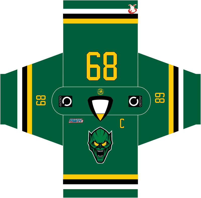 Load image into Gallery viewer, 2024 RHL Summer Draft Hockey Jersey
