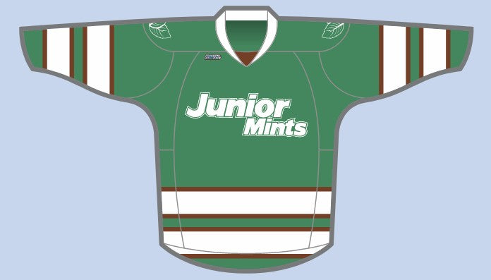 Load image into Gallery viewer, 2023 RHL Summer Draft Hockey Jersey
