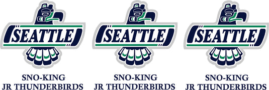 Sno-King Jr Thunderbirds 14U/16U C Girls Hockey Team (Coach Norman)