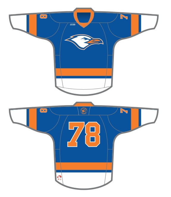 Load image into Gallery viewer, 2026 RHL Summer Draft Hockey Jersey
