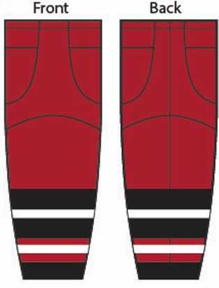 Load image into Gallery viewer, Rain Dogs Retro Sublimated Hockey Socks
