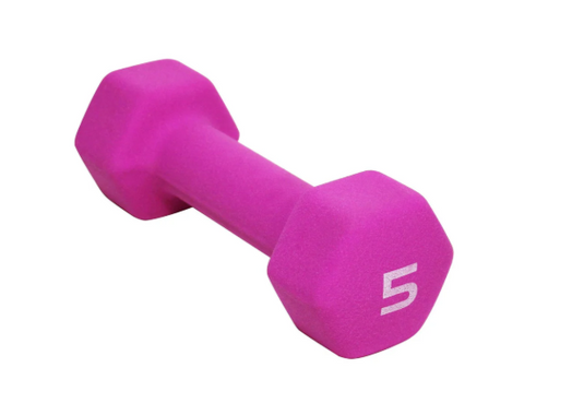 5 LBS Dumbbells