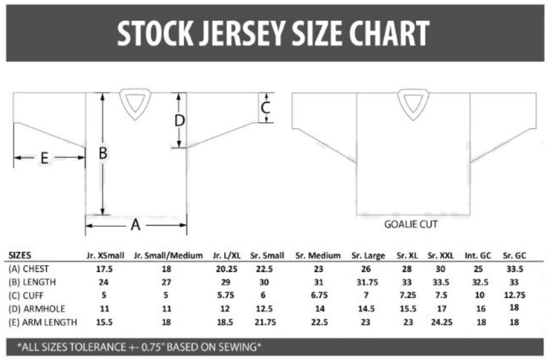 Load image into Gallery viewer, 2023 RHL Summer Draft Hockey Jersey
