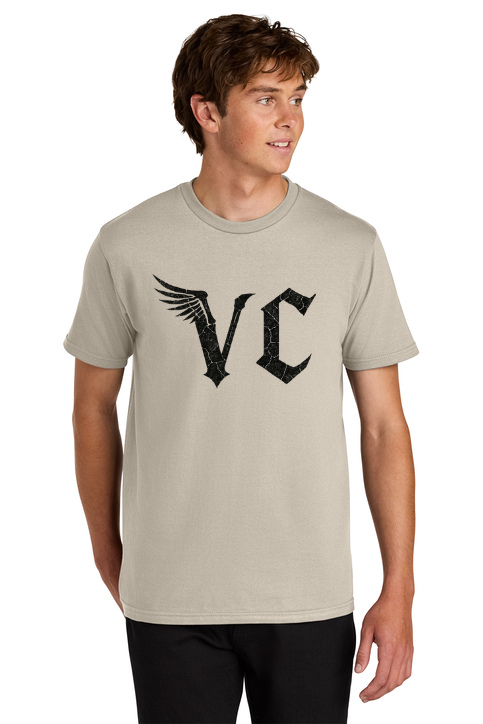 Load image into Gallery viewer, Vulture Culture Softstyle Midweight T-Shirt
