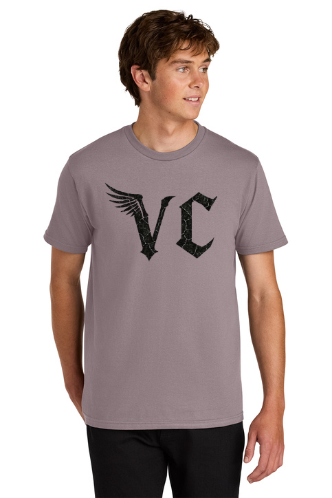 Load image into Gallery viewer, Vulture Culture Softstyle Midweight T-Shirt
