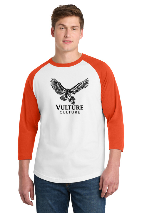 Load image into Gallery viewer, Vulture Culture Color Block Raglan Jersey T-Shirt
