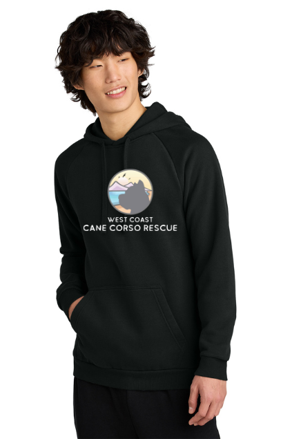 Load image into Gallery viewer, WCCCR District Cloud Fleece Hoodie
