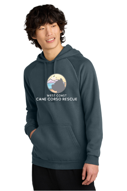 Load image into Gallery viewer, WCCCR District Cloud Fleece Hoodie
