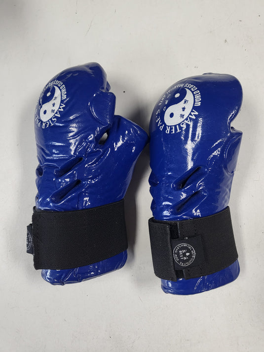 Used Taekwondo Sparring Gloves