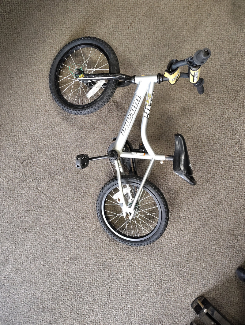 Load image into Gallery viewer, Used Novara Stinger Kids Mountain Bike 16"
