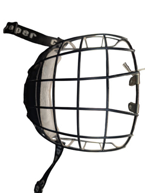 Descriptive image text