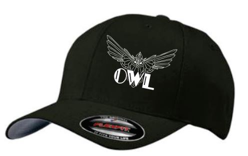 Load image into Gallery viewer, OWL Flexfit Curved Bill Cap
